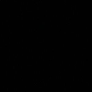 Meet your Posher, Dorien